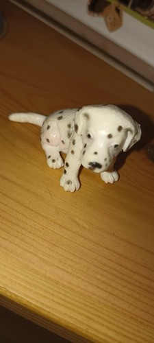 Dalmation chiot par - dalmation,