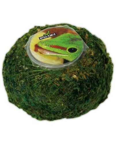 Reptiles planet repti moss - repti,