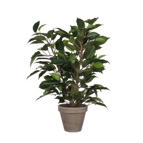 Mica decorations plante - mica,