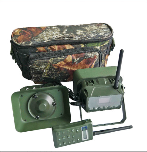 Appelant oiseau chasse - appelant,