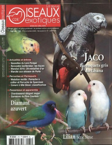 Oiseaux exotiques 418 - exotiques,