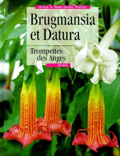 Brugmansia datura - brugmansia,