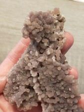 Superbe Agate grappe raisin Calcédoine botryoidale violette