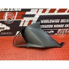 Cache sur flanc de carénage