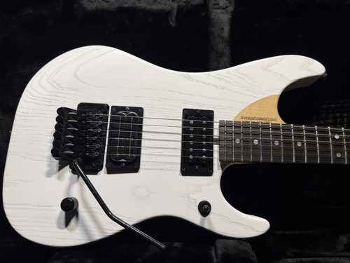 Washburn custom shop - shop, n4