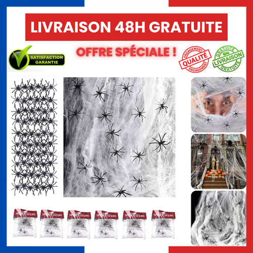 Packs toile araignée 120g - 6,