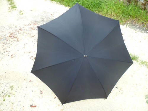 Superbe canne parapluie - superbe, canne/parapluie