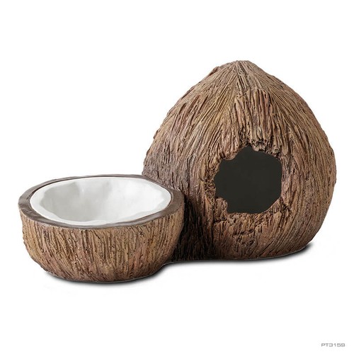 Exo terra cachette noix - terra, de