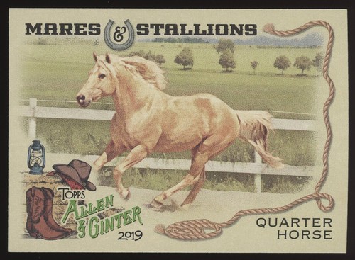 2019 allen and ginter mares - 2019,