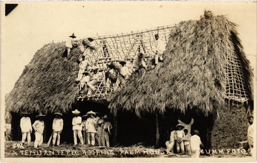 Chile tehuantepec roofing - pc,