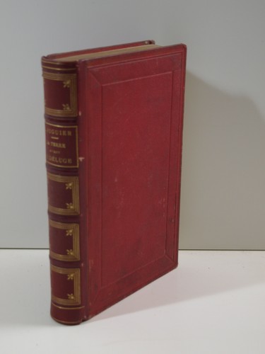 Figuier louis terre avant - figuier, :