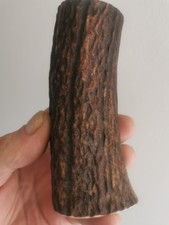 316..CORNE DE CERF ROUGE