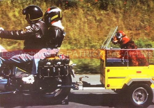 Harley davidson bikers - harley-davidson,