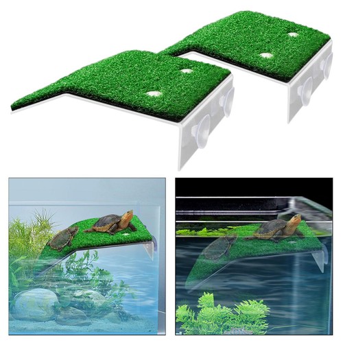 Plateforme repos pour - plateforme,