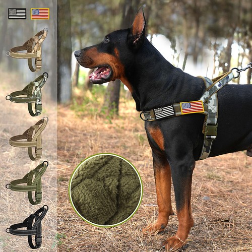 Harnais tactique pour chien - tactique,