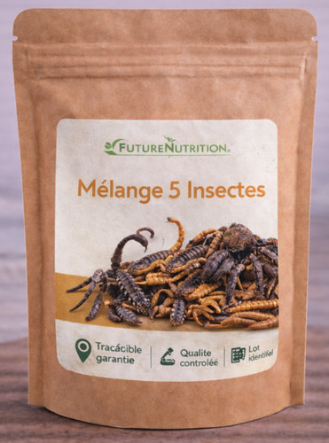 Mélange cinq insectes