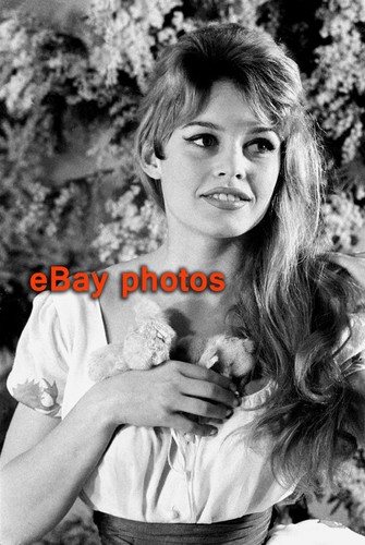 Photo brigitte bardot - -,