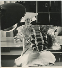 Fashion, Salon Hairdresser 1950 Vintage Silver Print Silver Print 18x24 