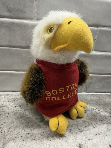 Boston college chelsea teddy - college,