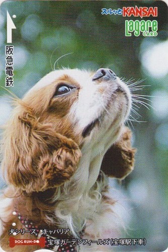 Carte japon animal - carte,