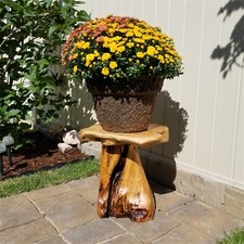 Rustic Cedar Root Plant Stand