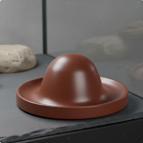 Assiette pour tortues facile - assiette,