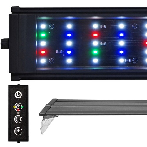 Beamswork fixed timer - w/,