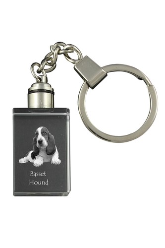 Basset hound porte - basset,
