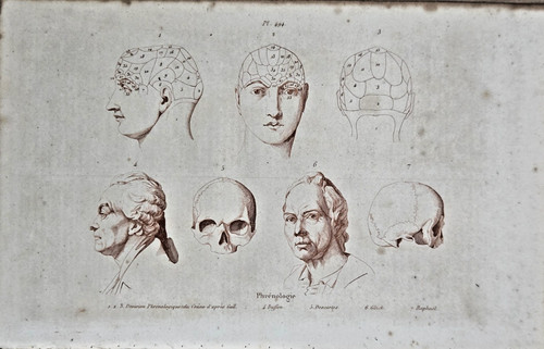 Gravure xixe phrenologie - gravure,