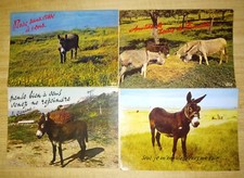 4 Cartes postales humoristique