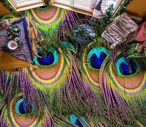 Plume paon 2007 - plume,
