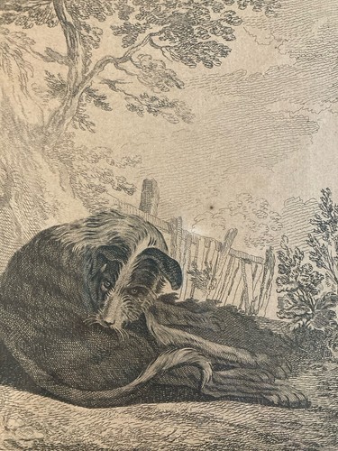 Belle gravure art ancien - belle,