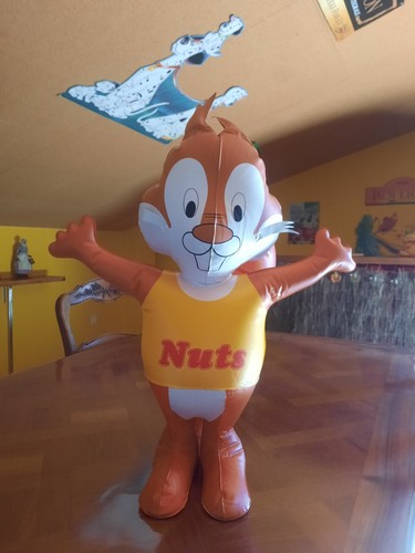 Ecureuil nuts - ecureuil,