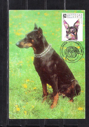 Cma carte maximum bulgarie - cma/,