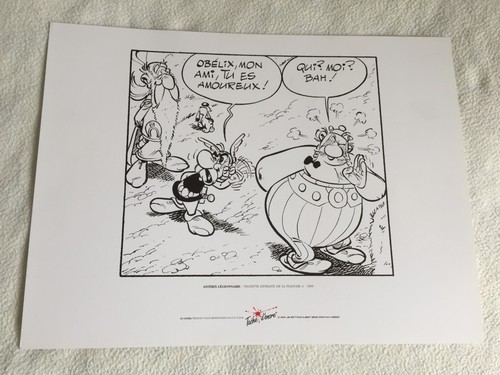Sérigraphie astérix - sérigraphie,
