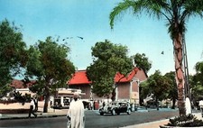 Algerie - Mostaganem - Le jardin public, la mairie, vue générale