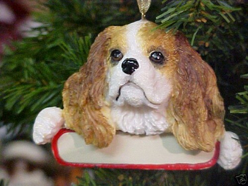 Cavalier king charle - charle, brn/wht