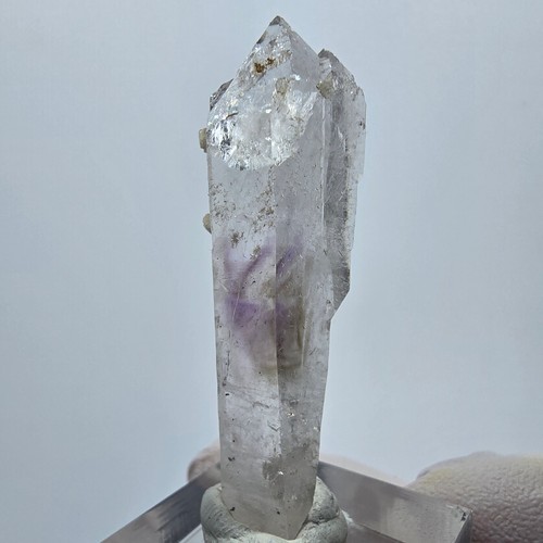 Sceptre fantôme lémurien - , en