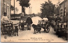 45 BRIARE SUR LOIRE - milk transport by dog cars