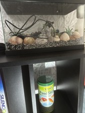 aquarium avec meuble