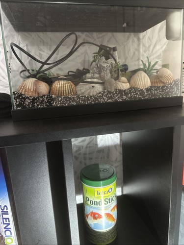 Aquarium avec meuble - aquarium,
