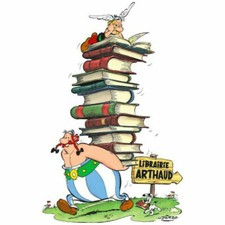 Plaque métal    bd bande dessinée Astérix et Obélix 30 X 20 CM