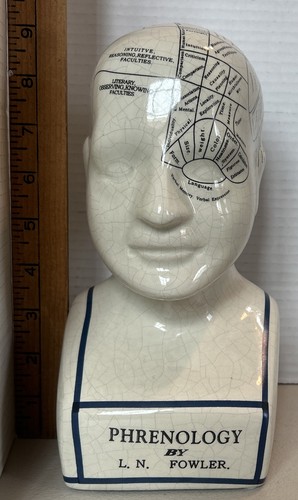 Phrenology head bust n - phrenology,