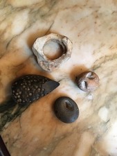 Préhistoire, Néolithique