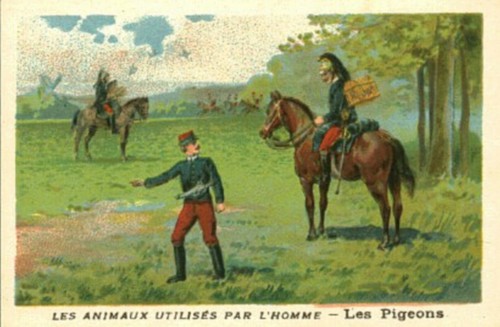 Image ancienne chromo les