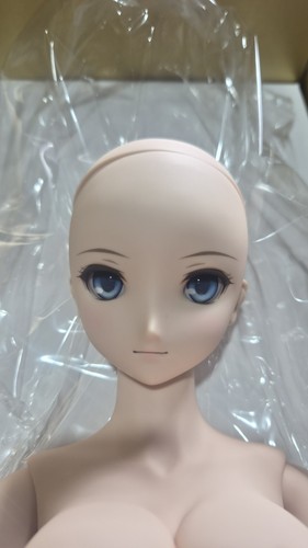 Dollfie dream fate ruler - dollfie,