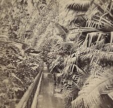 UK Angleterre Londres Maison