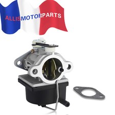 Carburateur Tecumseh Pour