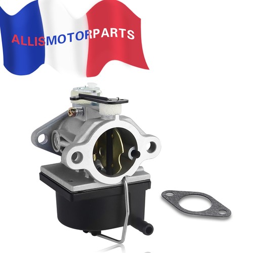 Carburateur tecumseh pour - tecumseh,