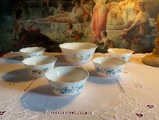 ARCOPAL VERONICA  MYOSOTIS